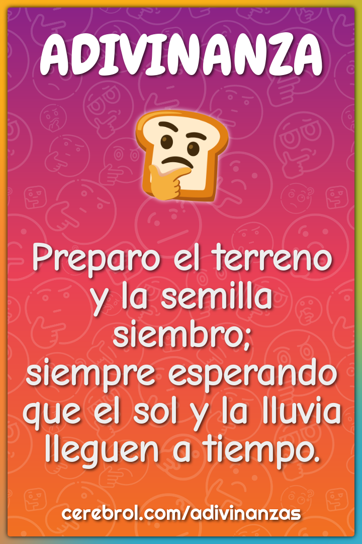 Preparo el terreno y la semilla siembro; siempre esperando que el sol...