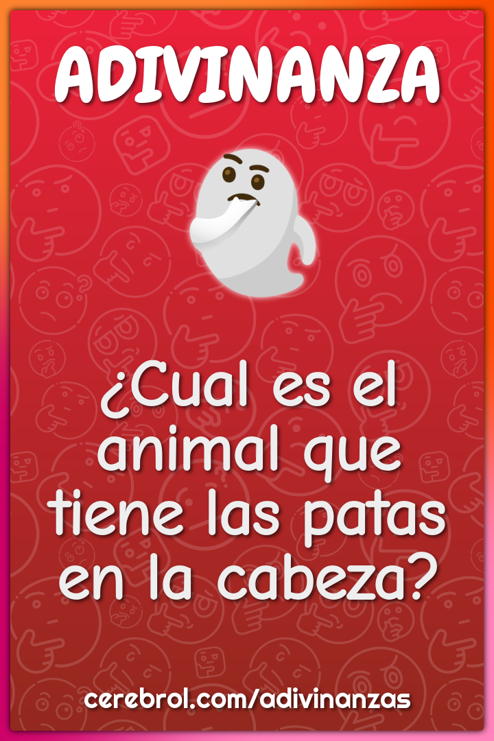 ¿Cual es el animal que tiene las patas en la cabeza?