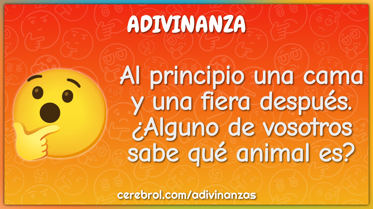 Al principio una cama y una fiera después. ¿Alguno de vosotros sabe...