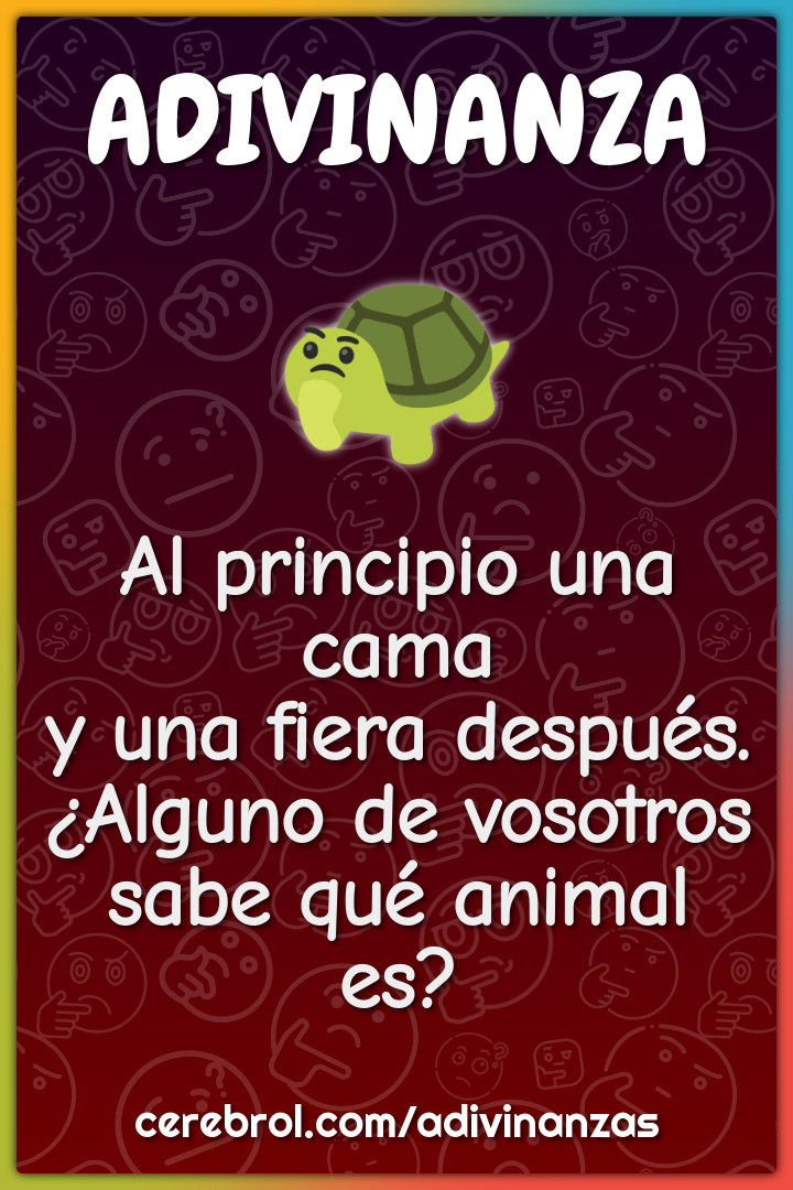 Al principio una cama y una fiera después. ¿Alguno de vosotros sabe...