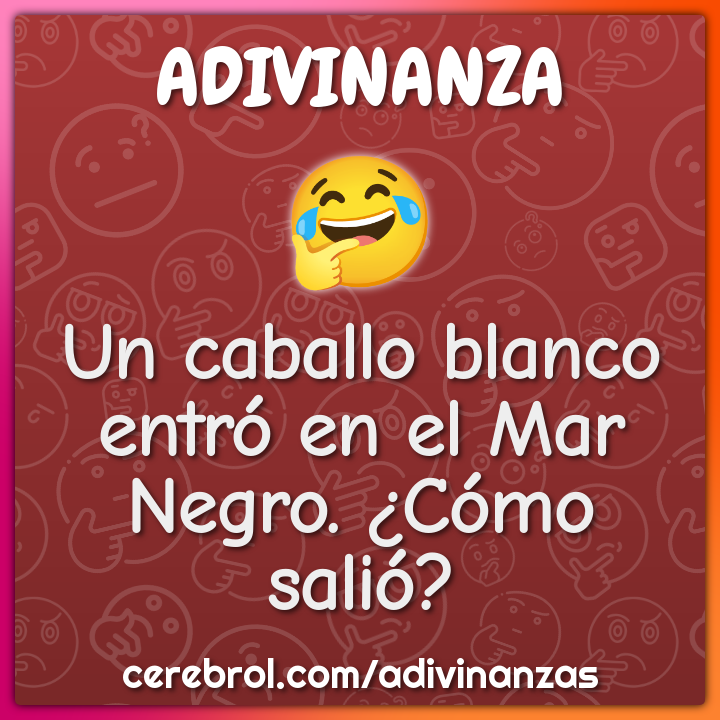 Un caballo blanco entró en el Mar Negro. ¿Cómo salió?