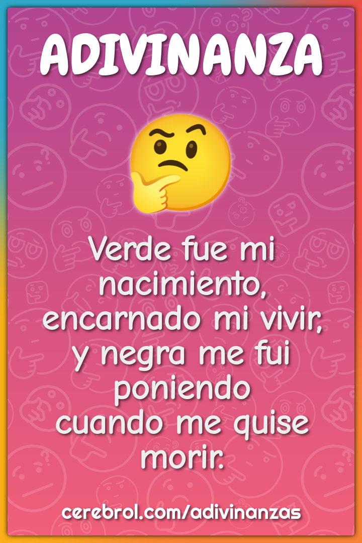 Verde fue mi nacimiento, encarnado mi vivir, y negra me fui poniendo...