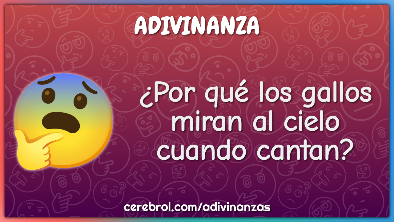 ¿Por qué los gallos miran al cielo cuando cantan?