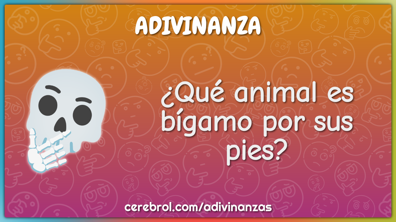 ¿Qué animal es bígamo por sus pies?