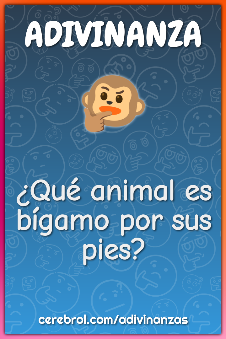 ¿Qué animal es bígamo por sus pies?