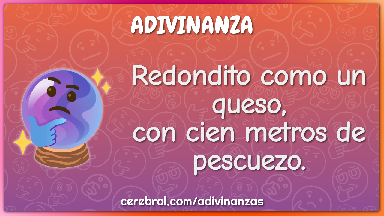 Redondito como un queso,
con cien metros de pescuezo.