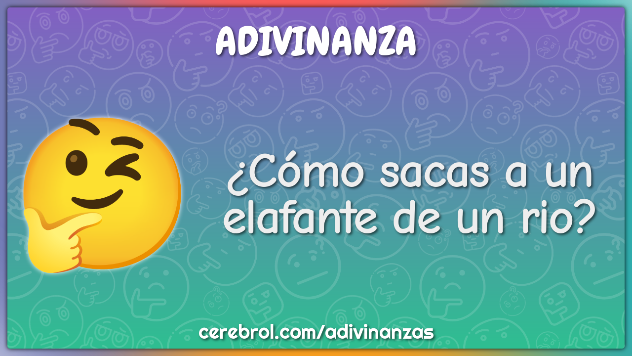 ¿Cómo sacas a un elafante de un rio?