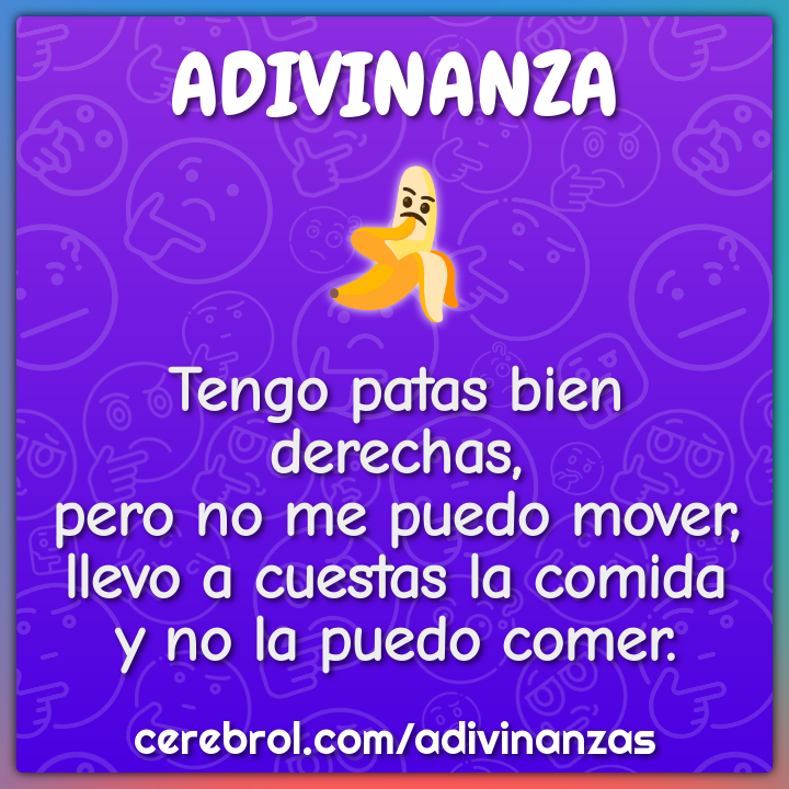 Tengo patas bien derechas, pero no me puedo mover, llevo a cuestas la