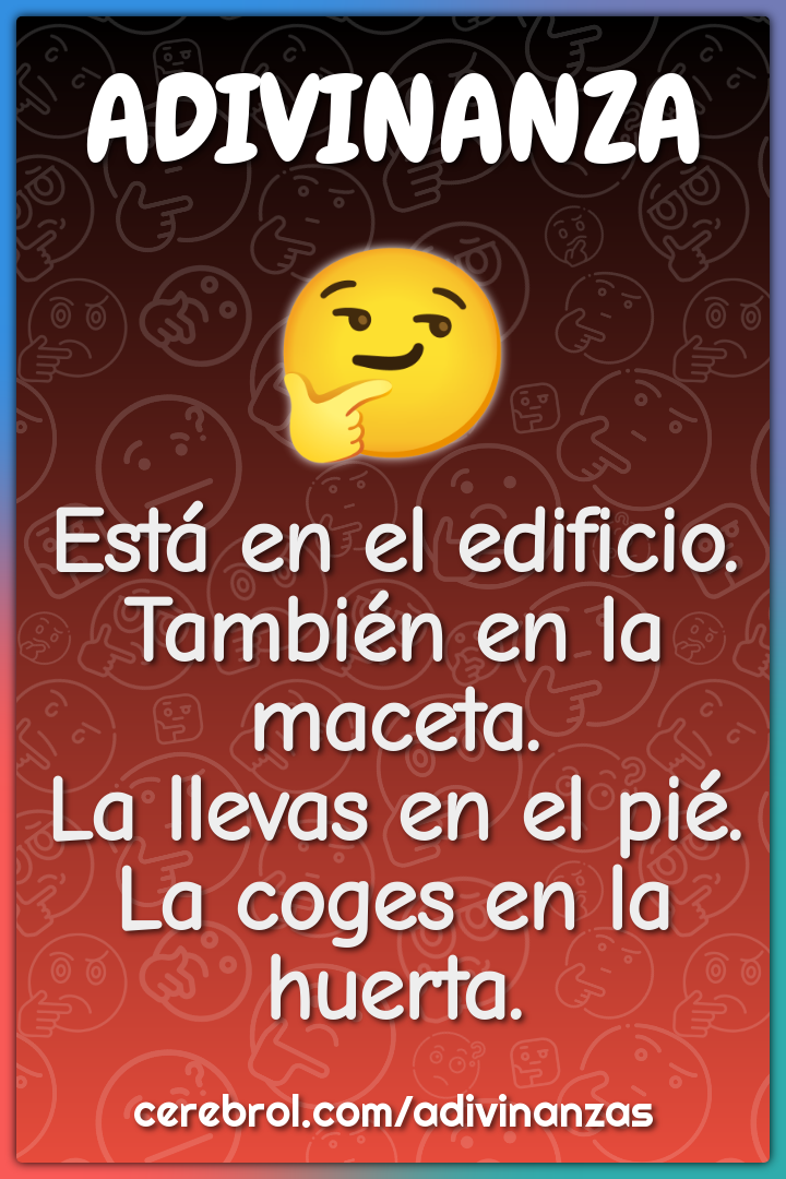 Está en el edificio. También en la maceta. La llevas en el pié. La...