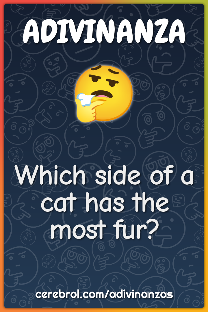 Which side of a cat has the most fur?