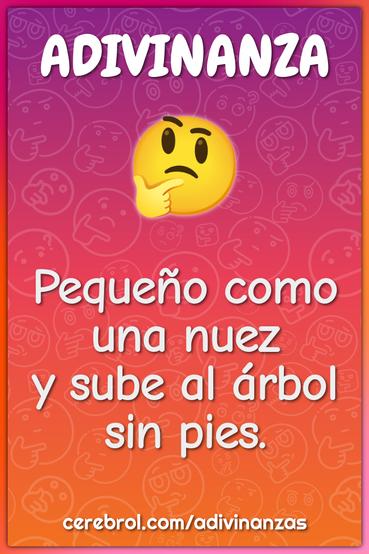 Pequeño como una nuez
y sube al árbol sin pies.