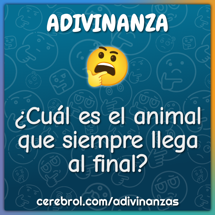 ¿Cuál es el animal que siempre llega al final?