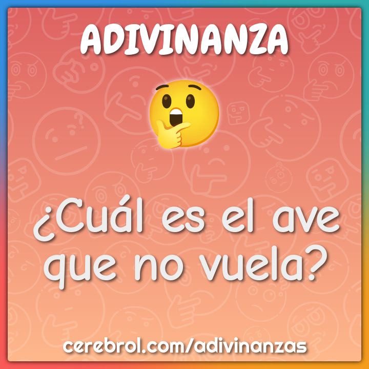 Frágil termómetro Pólvora Cuál es el ave que no vuela? - Adivinanza & Respuesta - Cerebrol