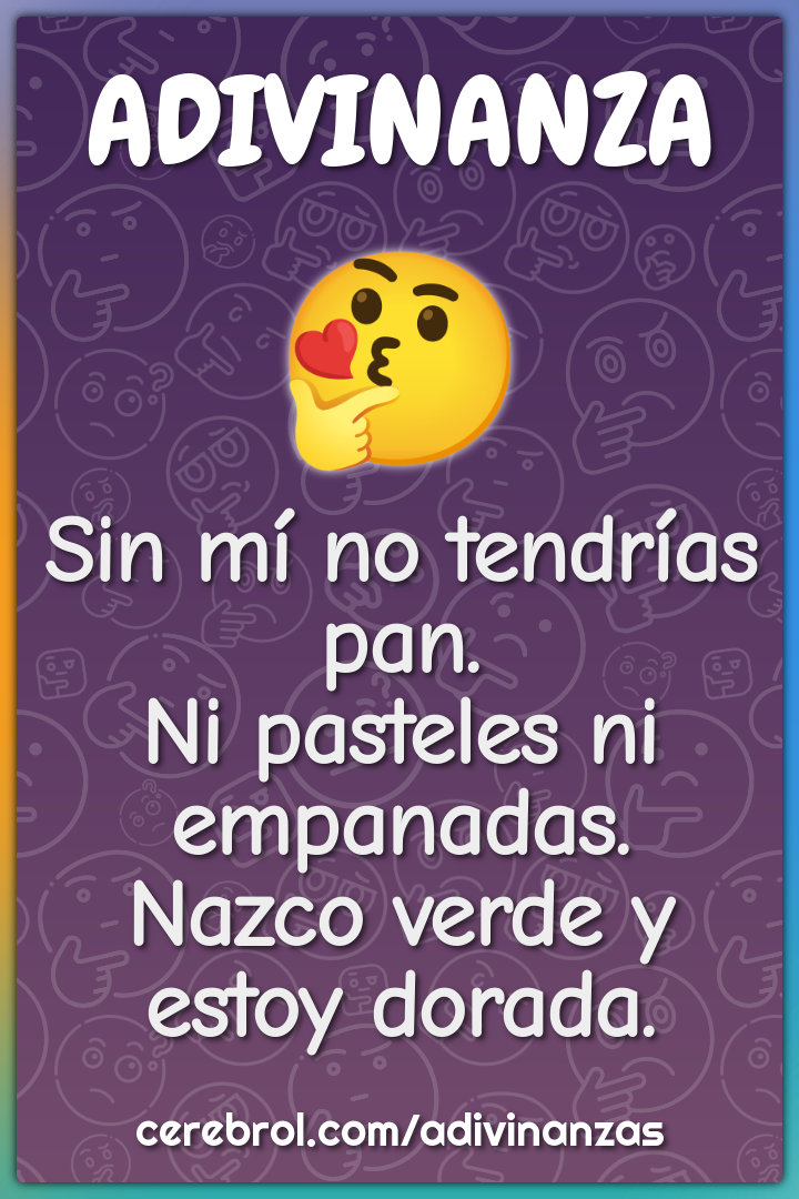 Sin mí no tendrías pan. Ni pasteles ni empanadas. Nazco verde y estoy...