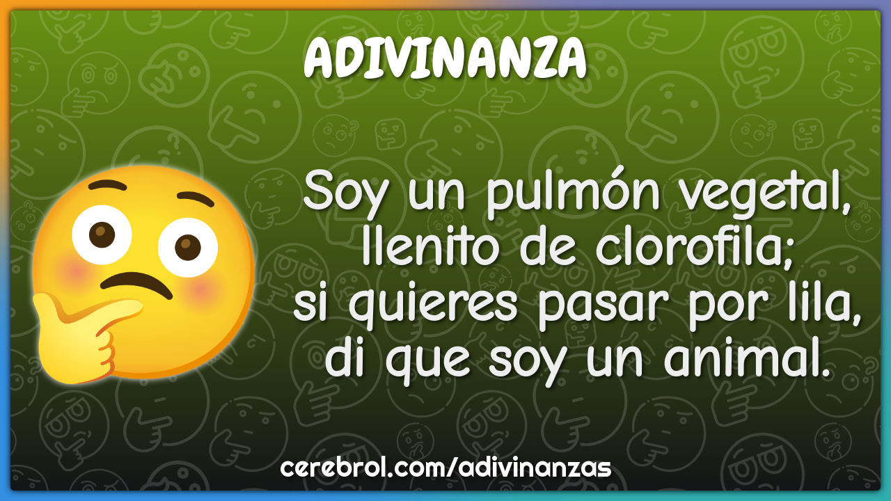 Soy un pulmón vegetal, llenito de clorofila; si quieres pasar por...