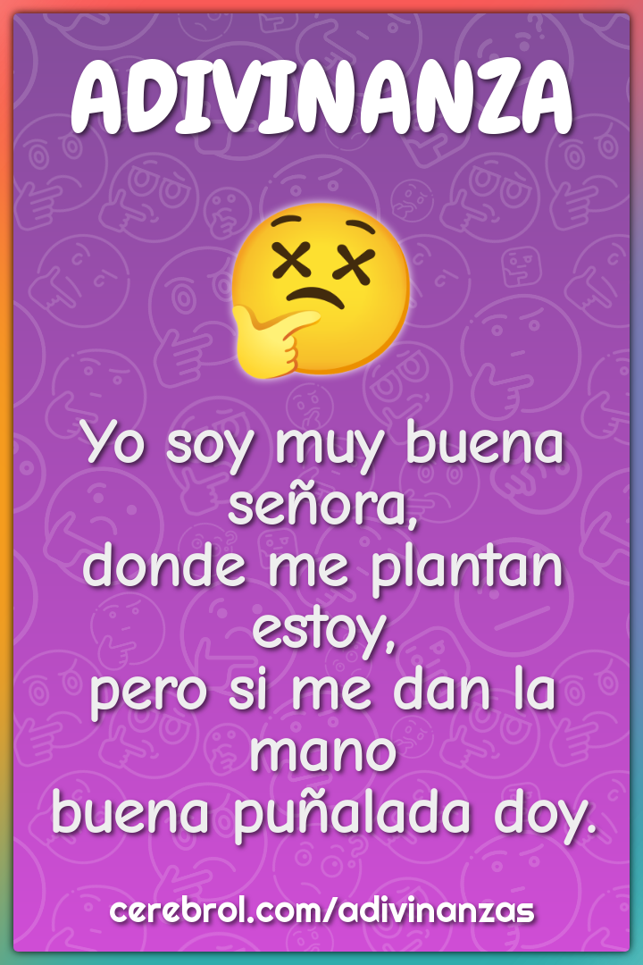 Yo soy muy buena señora, donde me plantan estoy, pero si me dan la...