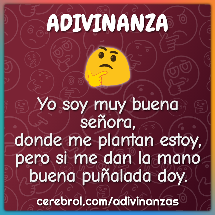 Yo soy muy buena señora, donde me plantan estoy, pero si me dan la...