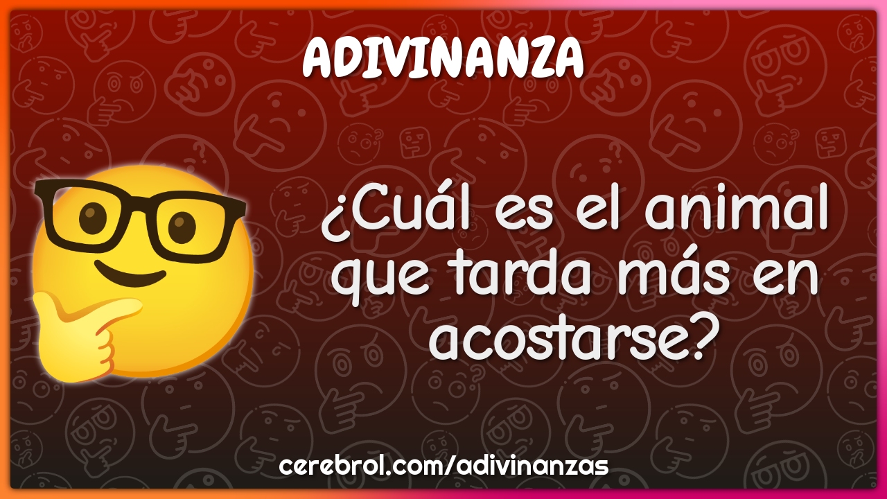 ¿Cuál es el animal que tarda más en acostarse?