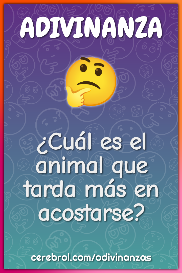 ¿Cuál es el animal que tarda más en acostarse?