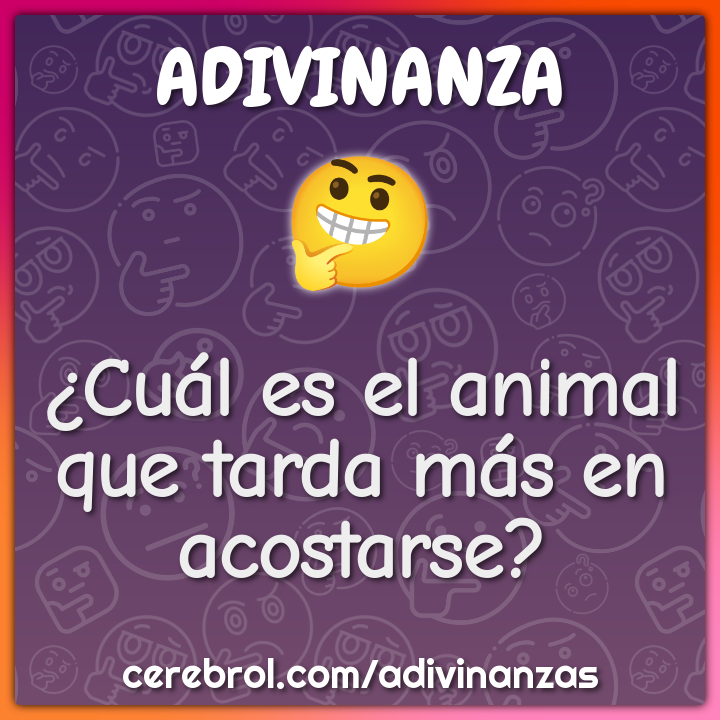 ¿Cuál es el animal que tarda más en acostarse?