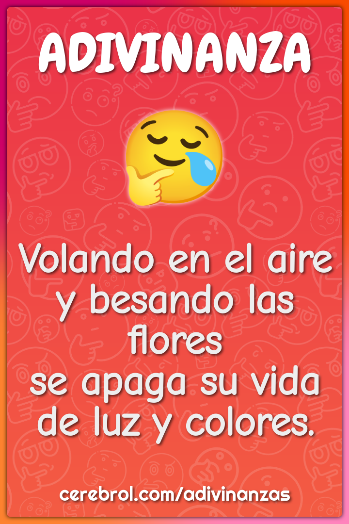 Volando en el aire y besando las flores se apaga su vida de luz y...