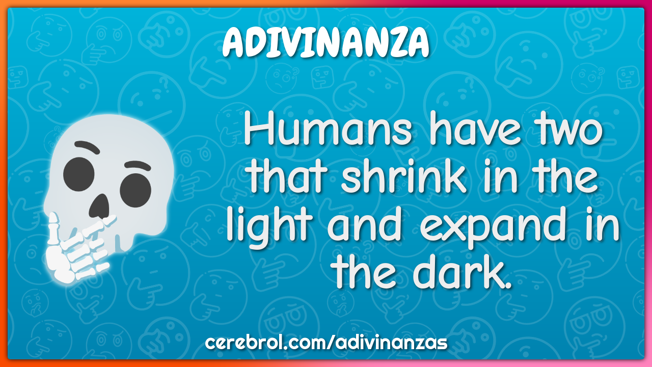 Humans have two that shrink in the light and expand in the dark.