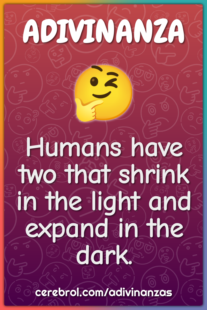 Humans have two that shrink in the light and expand in the dark.