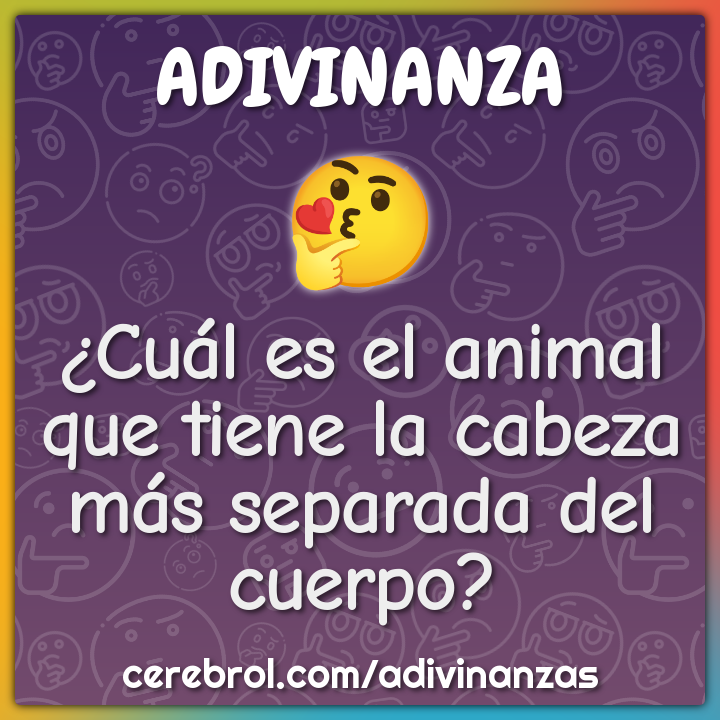 ¿Cuál es el animal que tiene la cabeza más separada del cuerpo?