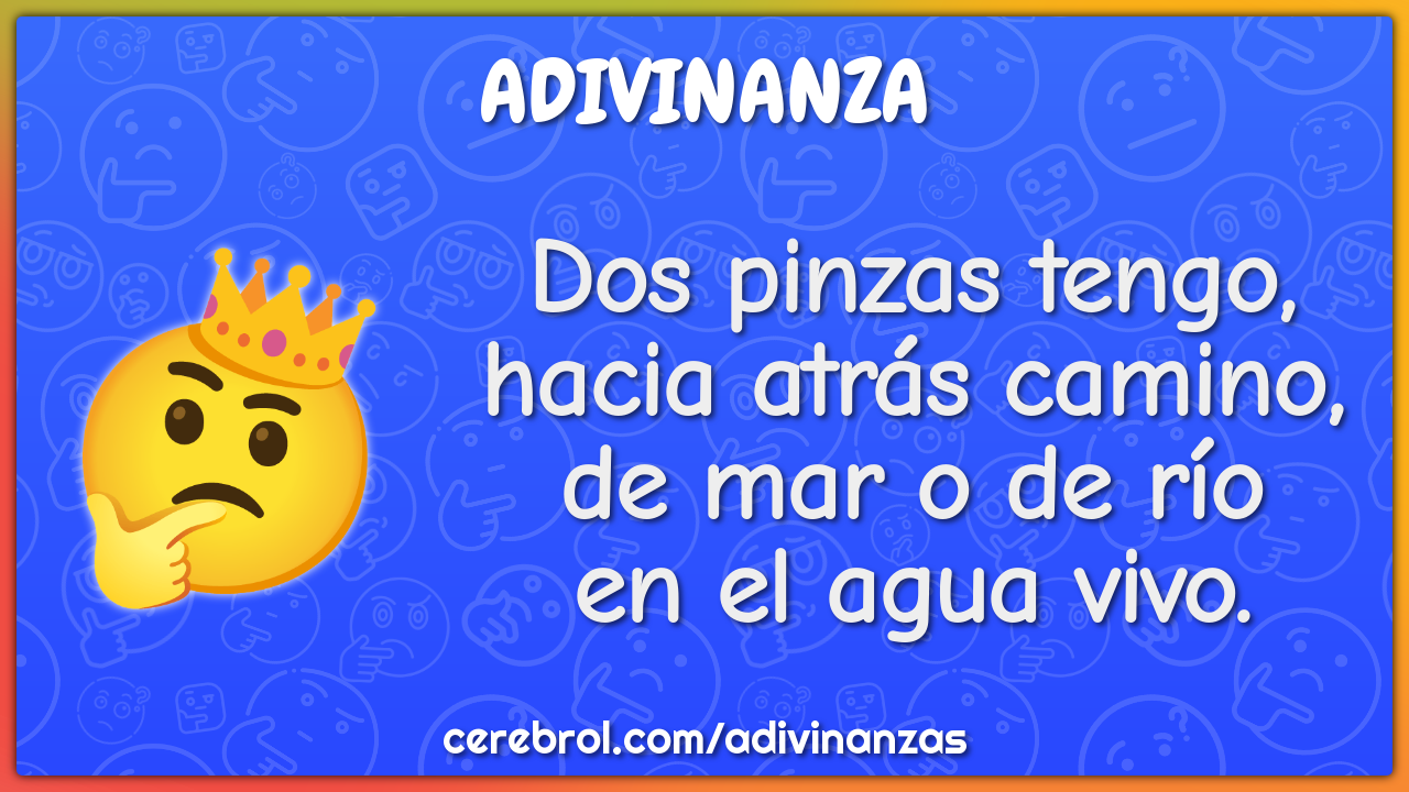 Dos pinzas tengo,
hacia atrás camino,
de mar o de río
en el agua vivo.