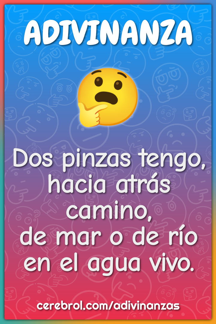 Dos pinzas tengo,
hacia atrás camino,
de mar o de río
en el agua vivo.