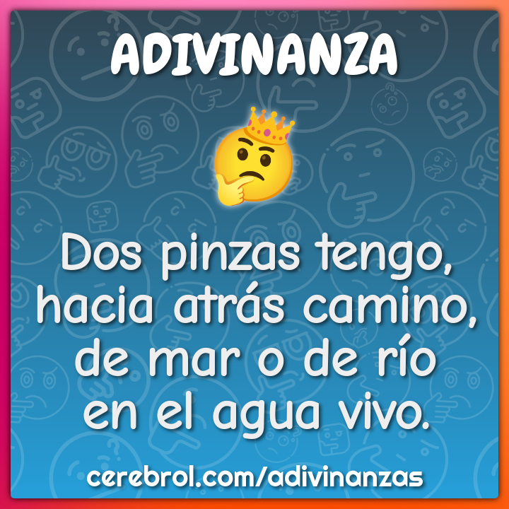 Dos pinzas tengo,
hacia atrás camino,
de mar o de río
en el agua vivo.