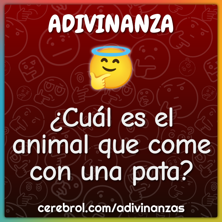 ¿Cuál es el animal que come con una pata?