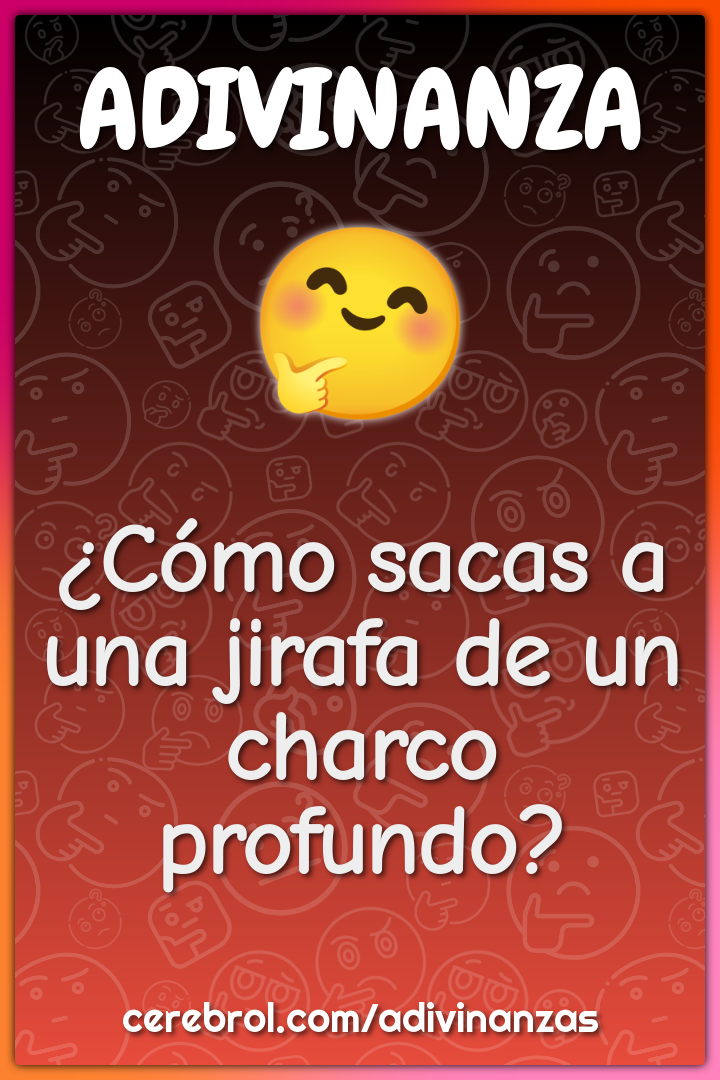 ¿Cómo sacas a una jirafa de un charco profundo?