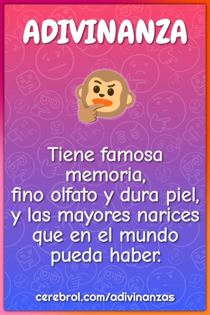 Tiene famosa memoria, fino olfato y dura piel, y las mayores narices...