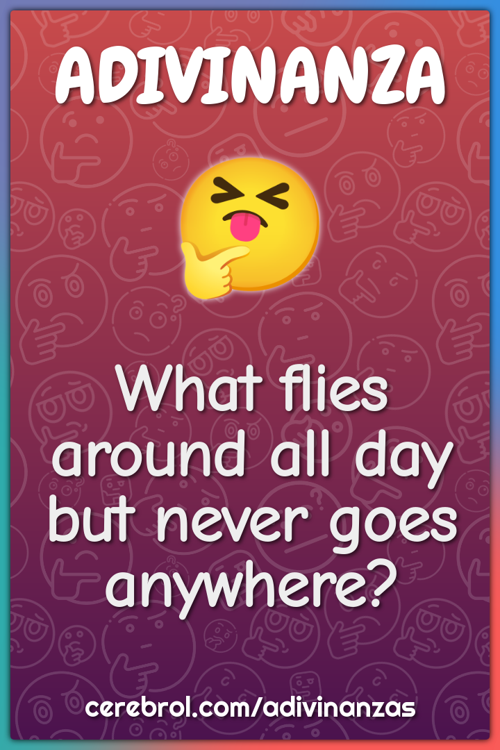 What flies around all day but never goes anywhere?