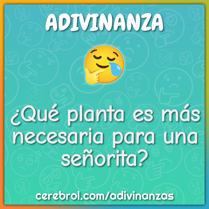 ¿Qué planta es más necesaria para una señorita?