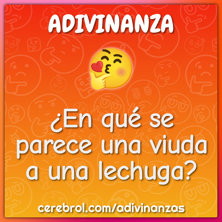 ¿En qué se parece una viuda a una lechuga?