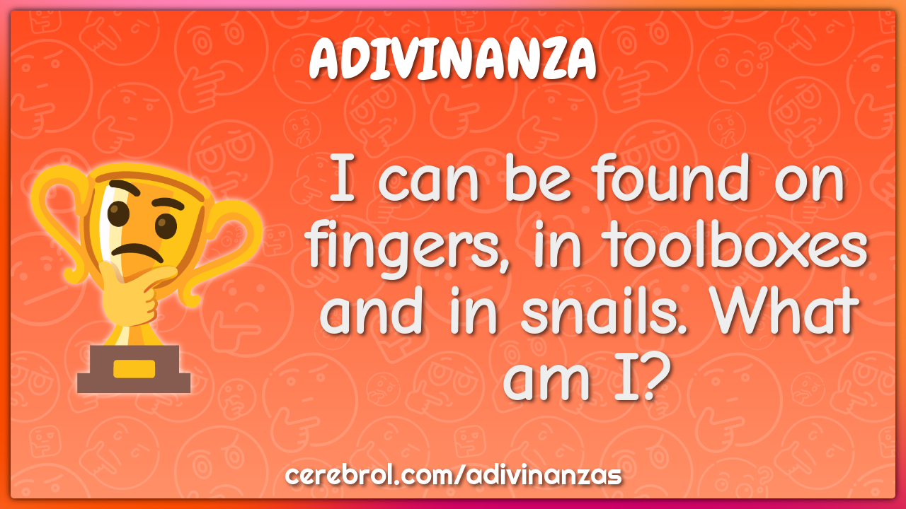 I can be found on fingers, in toolboxes and in snails. What am I?