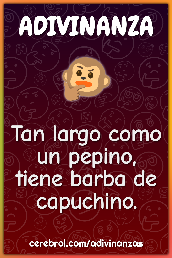 Tan largo como un pepino,
tiene barba de capuchino.