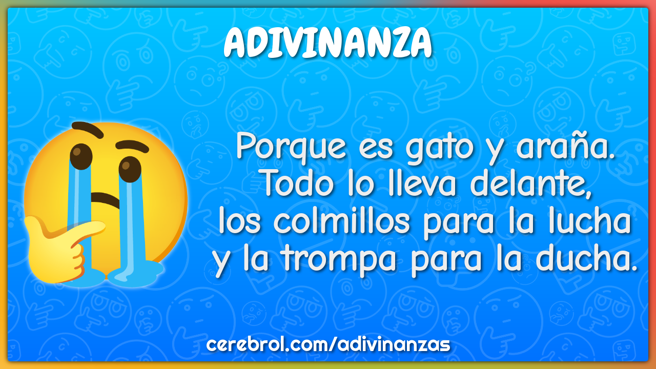 Porque es gato y araña. Todo lo lleva delante, los colmillos para la...