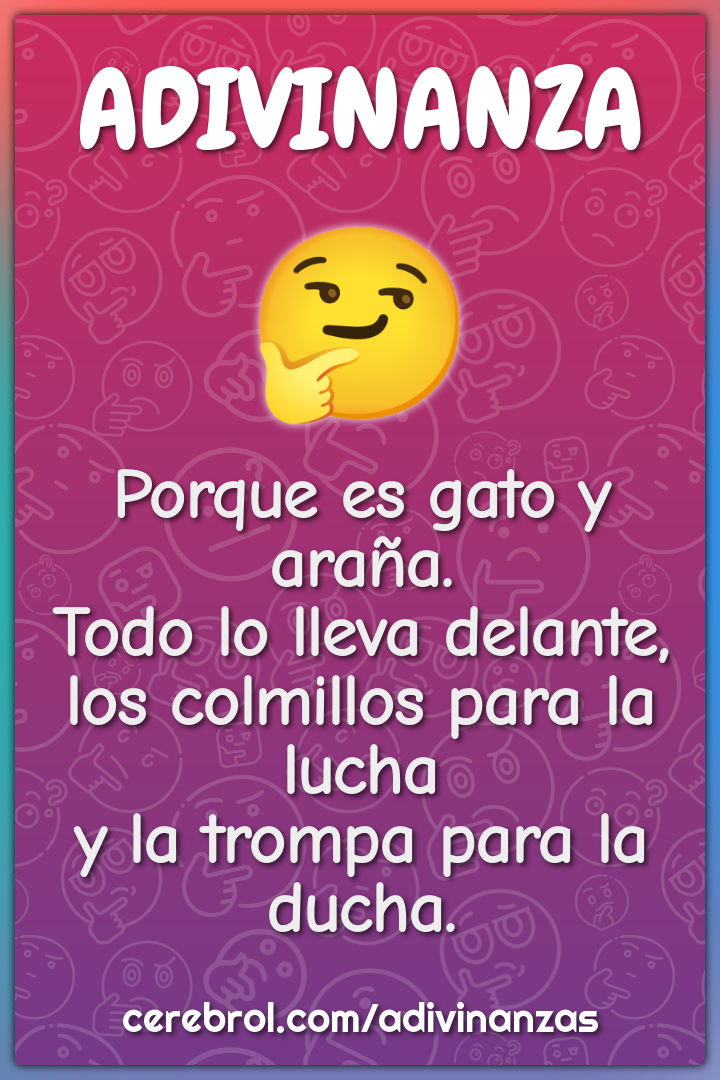 Porque es gato y araña. Todo lo lleva delante, los colmillos para la...