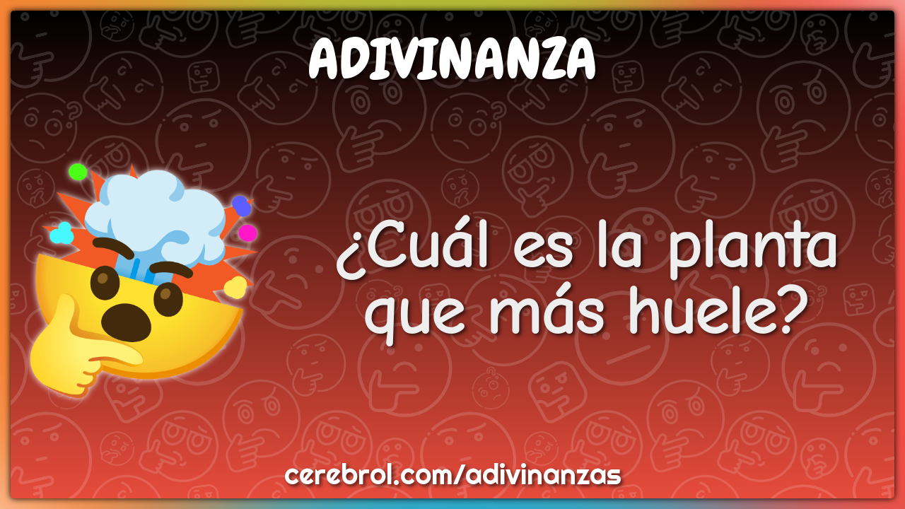 ¿Cuál es la planta que más huele?