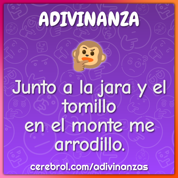 Junto a la jara y el tomillo
en el monte me arrodillo.