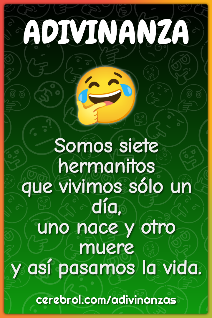 Somos siete hermanitos que vivimos sólo un día, uno nace y otro muere...