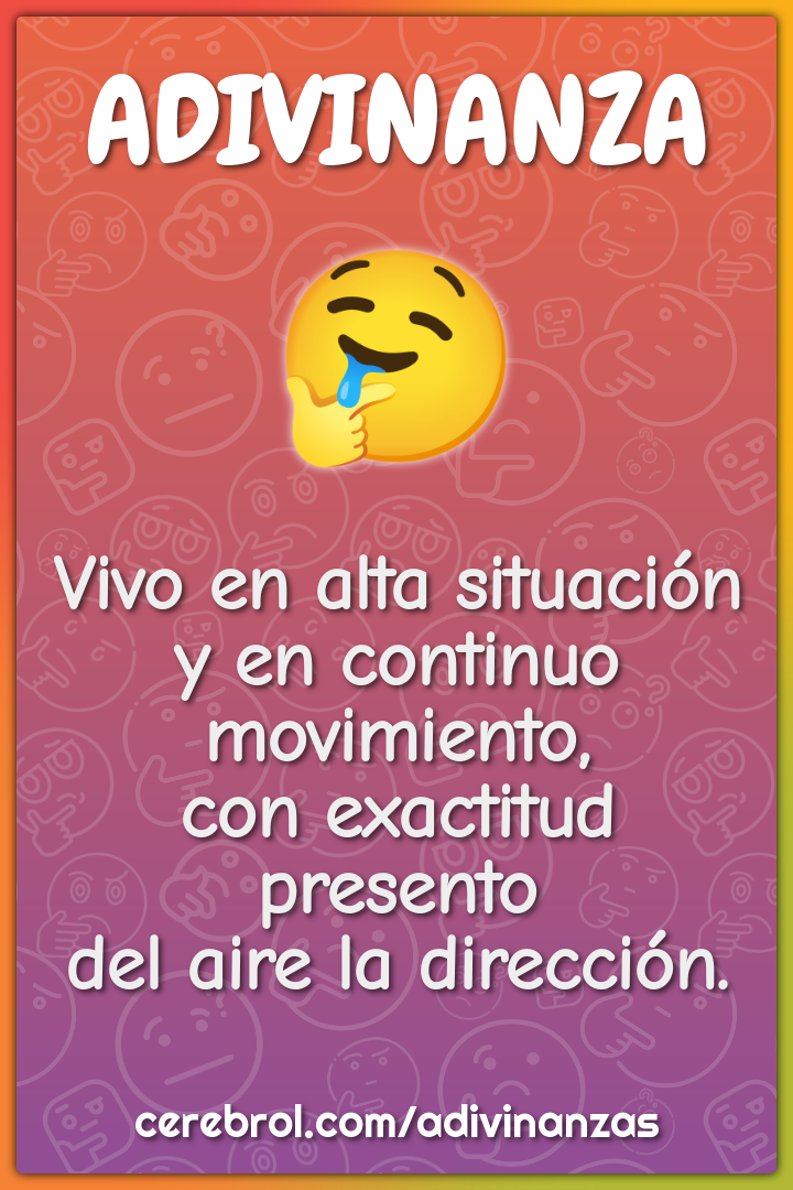 Vivo en alta situación y en continuo movimiento, con exactitud...