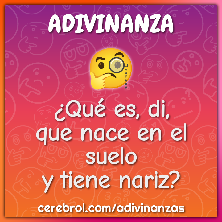 ¿Qué es, di,
que nace en el suelo
y tiene nariz?