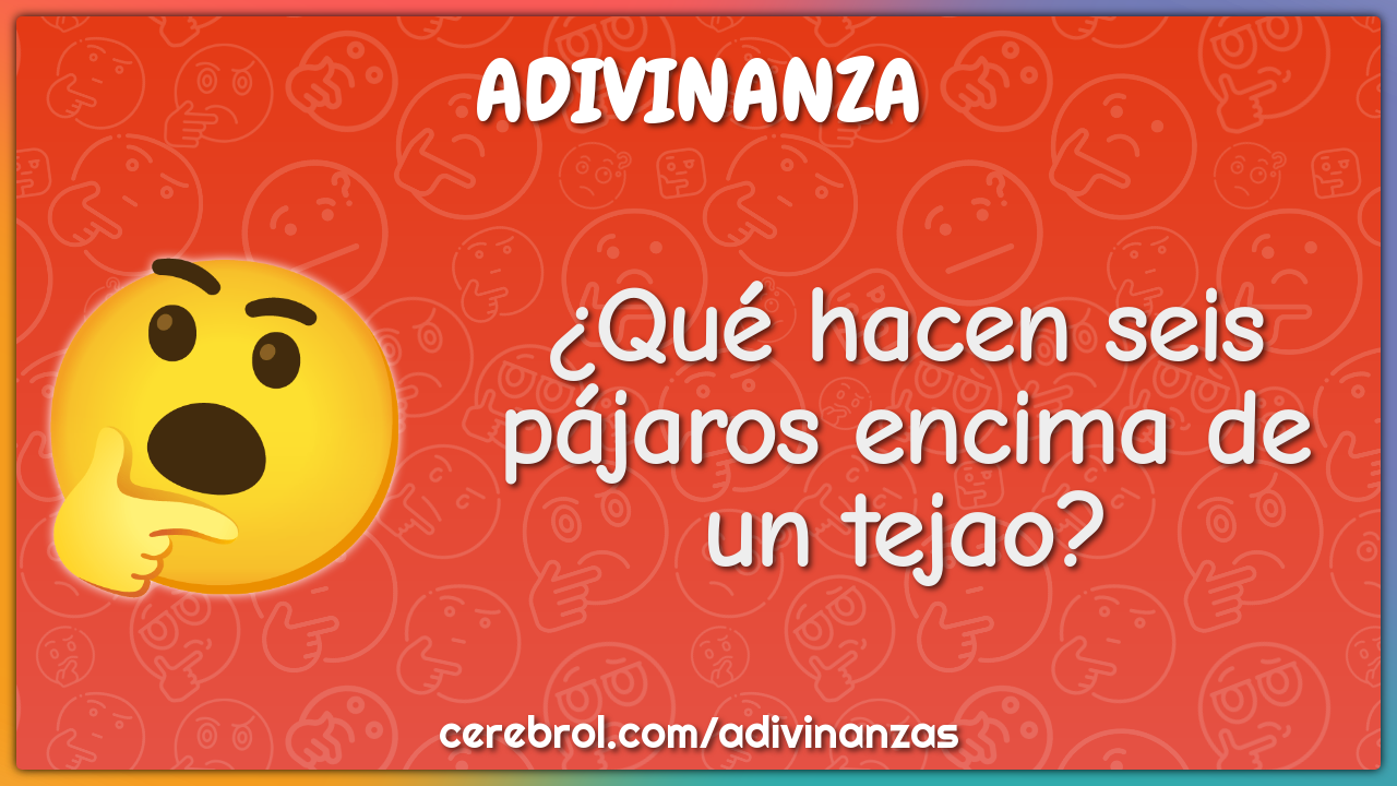 ¿Qué hacen seis pájaros encima de un tejao?