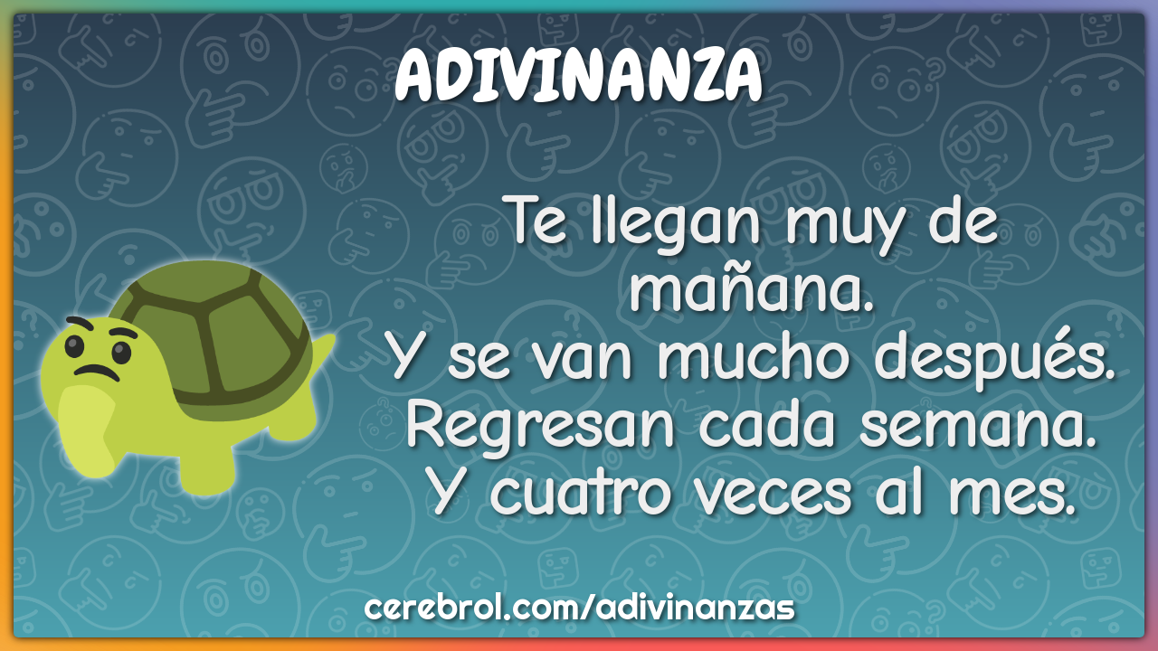 Te llegan muy de mañana. Y se van mucho después. Regresan cada semana....