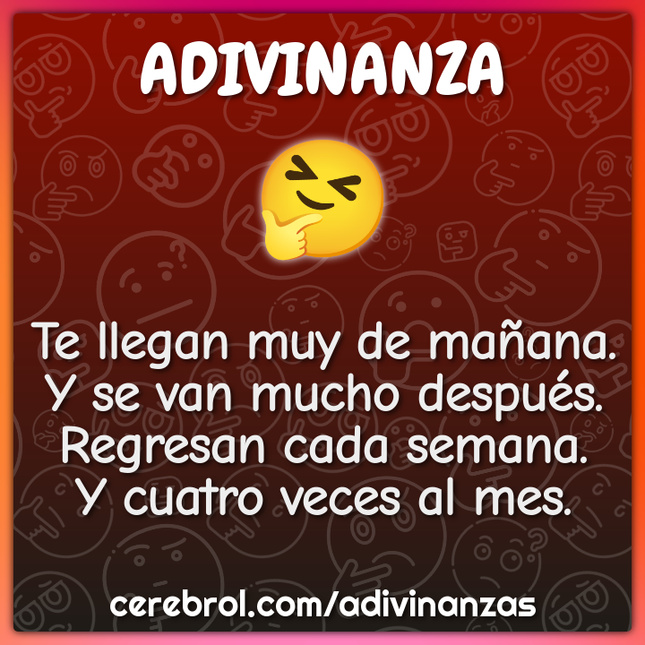 Te llegan muy de mañana. Y se van mucho después. Regresan cada semana....