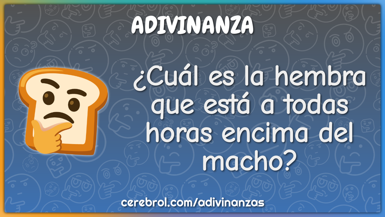 ¿Cuál es la hembra que está a todas horas encima del macho?